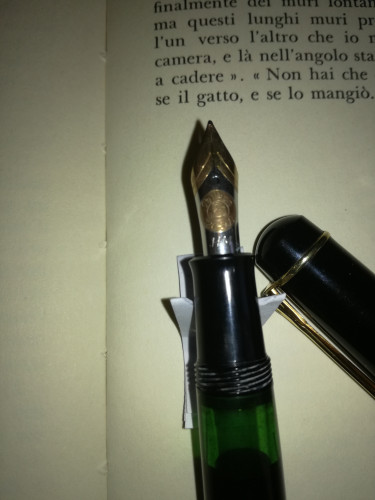 pelikan 3.jpg