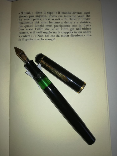 pelikan 5.jpg