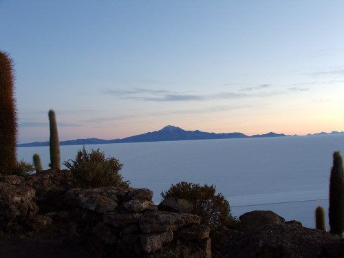 salar de Uyuny Isla del Pescado