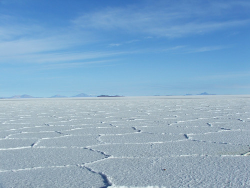 salar de Uyuny Isla del Pescado