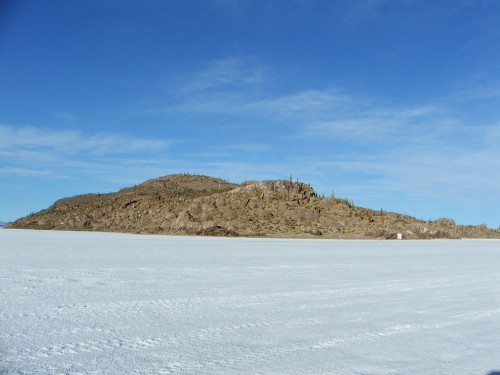 salar de Uyuny Isla del Pescado