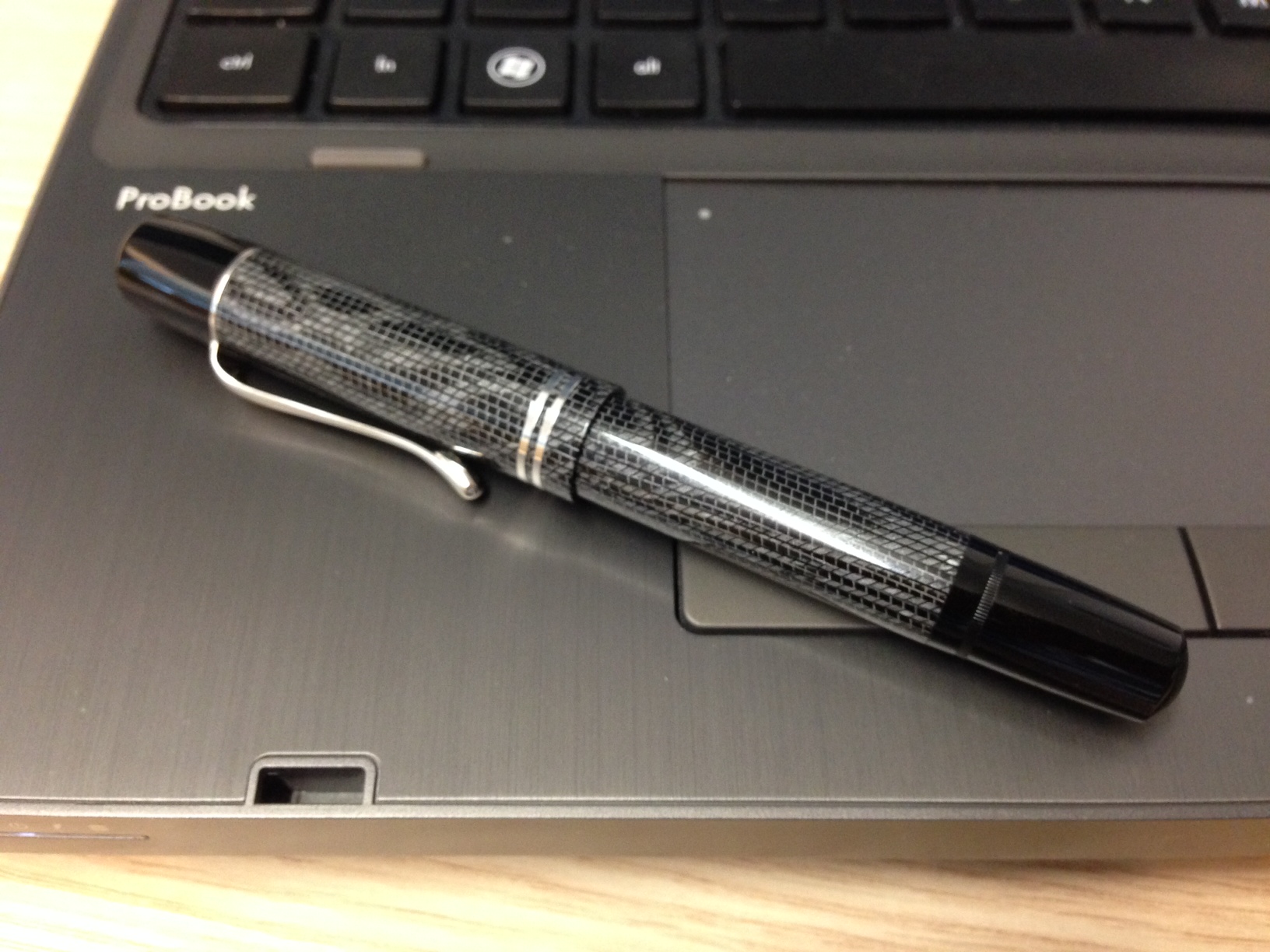 Pelikan M101N Lizard