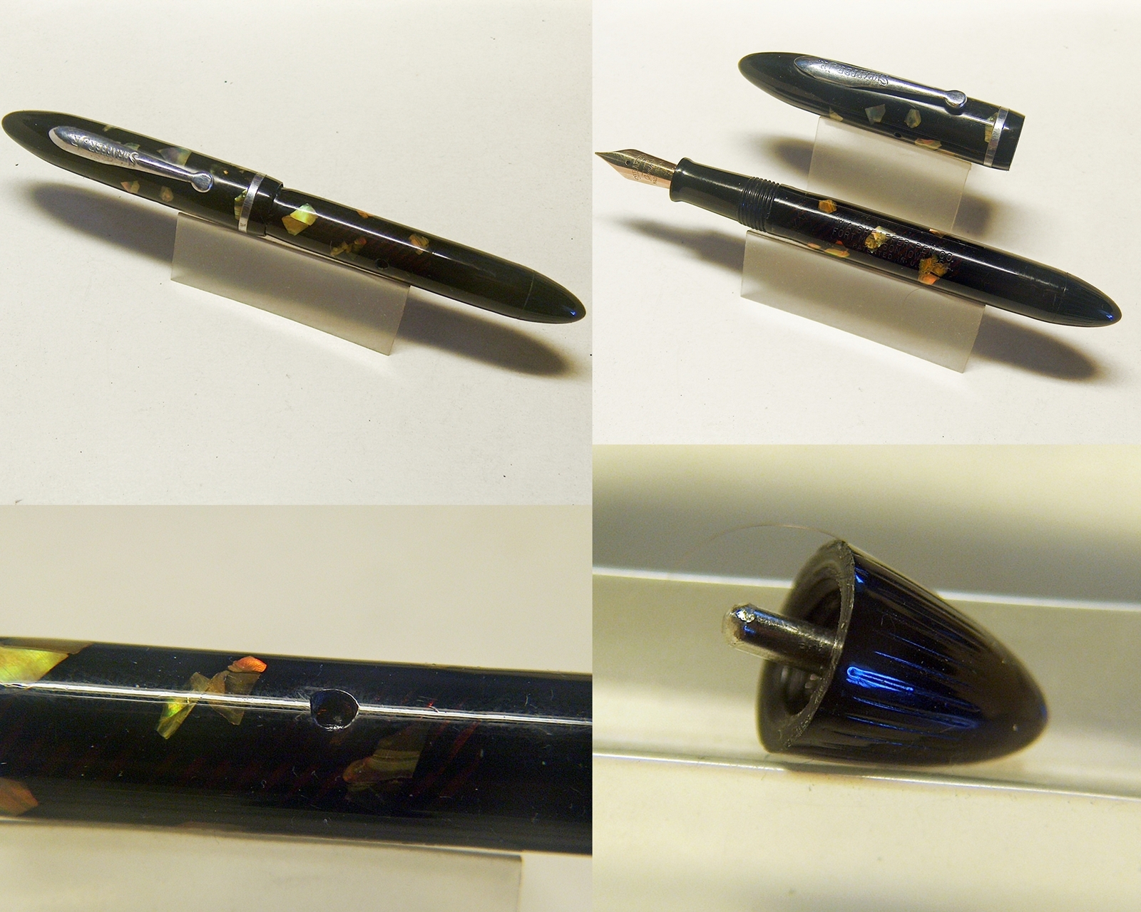 Sheaffer_jun_abalone-004.jpg