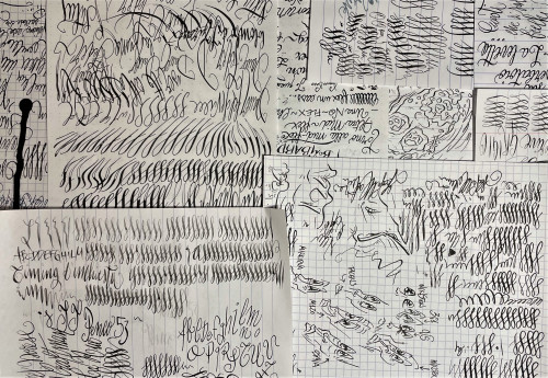 svolazzi&schifi.jpg (2.37 MiB) Visto 2535 volte Divertente, quando le penne rispondono bene...