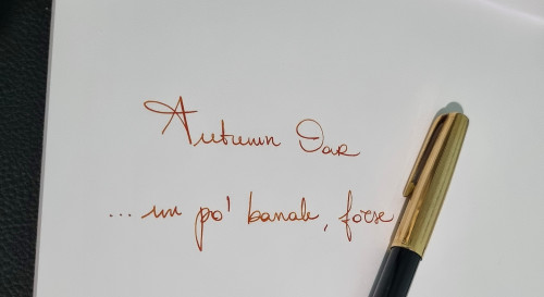 Inchiostri autunnali - Diamine autumn oak