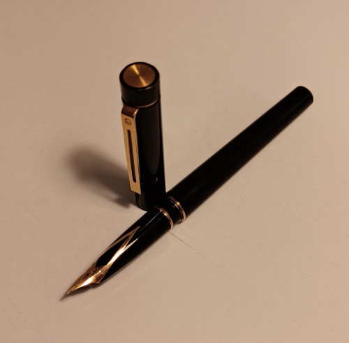 Sheaffer_Targa.jpg (418.25 KiB) Visto 5017 volte Sheaffer Targa nera