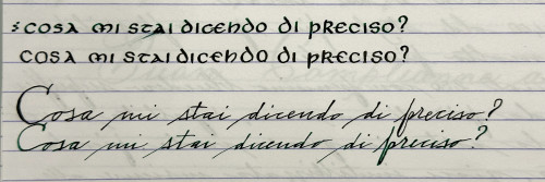 Messaggio casuale, ispirato dalla moglie che litigava per telefono col suo capo XD