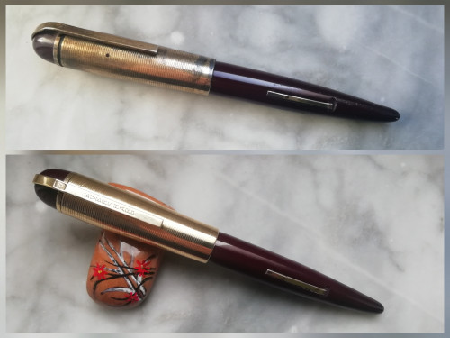 InCollage_20240229_122103137.jpg (3.83 MiB) Visto 1913 volte chiusa