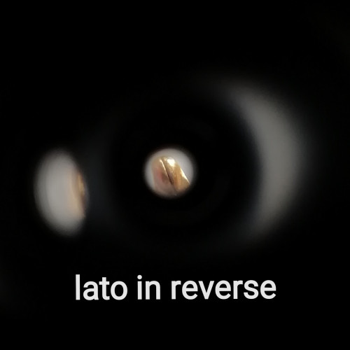 IMG_20240920_195017.jpg (184.54 KiB) Visto 5386 volte punta - lato in reverse