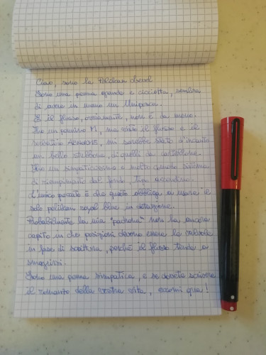 Pelikan leVel