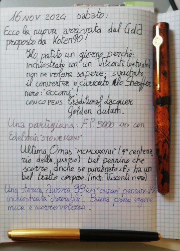 IMG_20241116_092950.jpg (1.43 MiB) Visto 3232 volte 16 no...