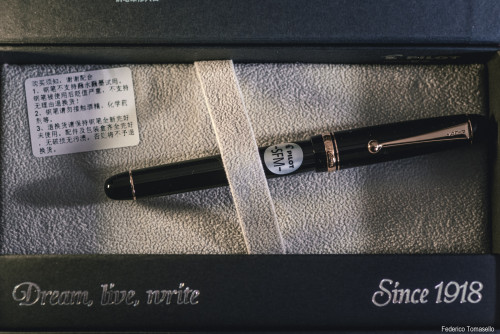 71 - Pilot Custom 74 (SFM) (4).jpg (1.83 MiB) Visto 8562 volte Pilot