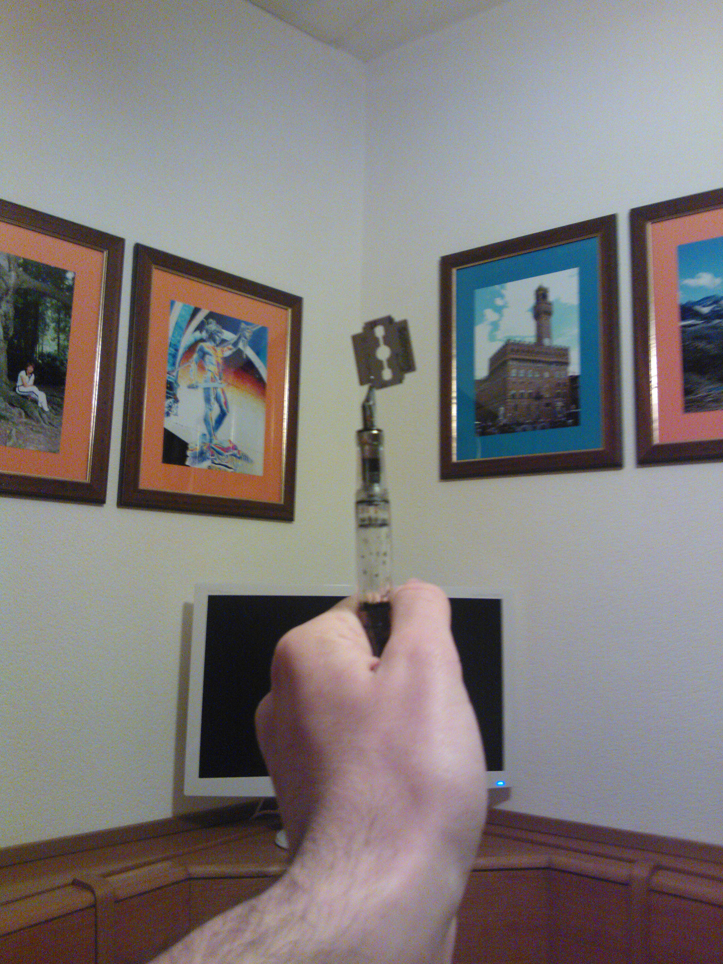 Io, tronfio e orgo-glione del mio successo!