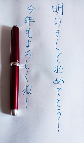 IMG_20250101_113824.jpg (1.36 MiB) Visto 2336 volte Penna: Pilot Elabo metal SF<br />Inchiostro: Iroshizuku Kon-peki<br />Carta: Tomoe River