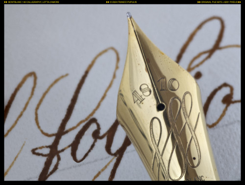 Montblanc 149 Calligraphy, Lotta d'amore ©FP.jpg