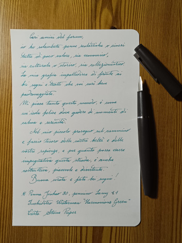 IMG_20250115_215344.jpg (6.19 MiB) Visto 3105 volte ...mi viene il dubbio che questa carta limi il pennino...