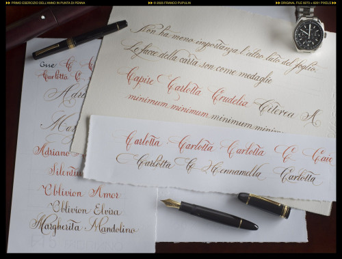 large.CalligrafiiaprimoeserciziodellannoinpuntadipennaFP.jpg.b8f76f94784c04a0307e781edb7f085a.jpg