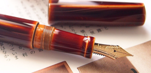 Nakaya dorsal fin.jpg