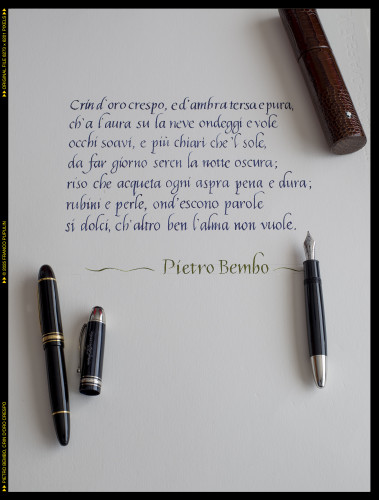 Montblanc 149, Crin d'oro crespo.jpg