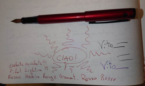 DSC_1635.JPG (826.33 KiB) Visto 4259 volte Herbin Rouge Grenat, Pilot Lightive pennino M