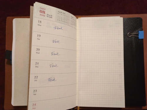 06-agendaTN.jpg (501.73 KiB) Visto 3679 volte Inserto: agenda TN settimanale con note