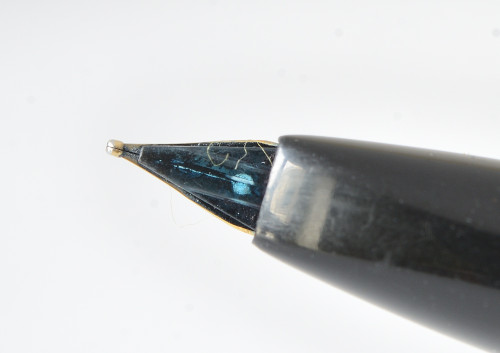 ANT_5686 rid.jpg