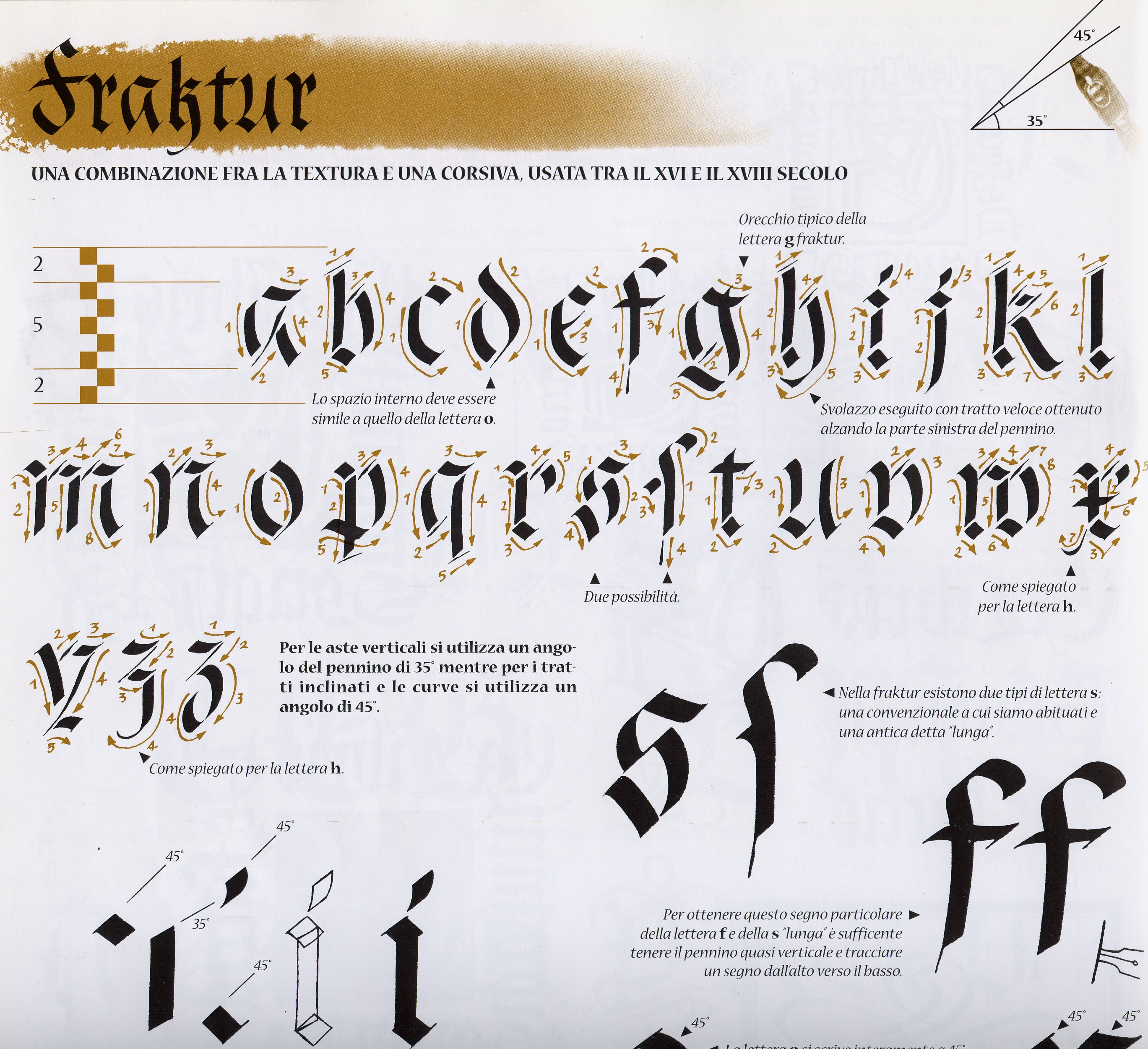 fraktur ductus.jpg