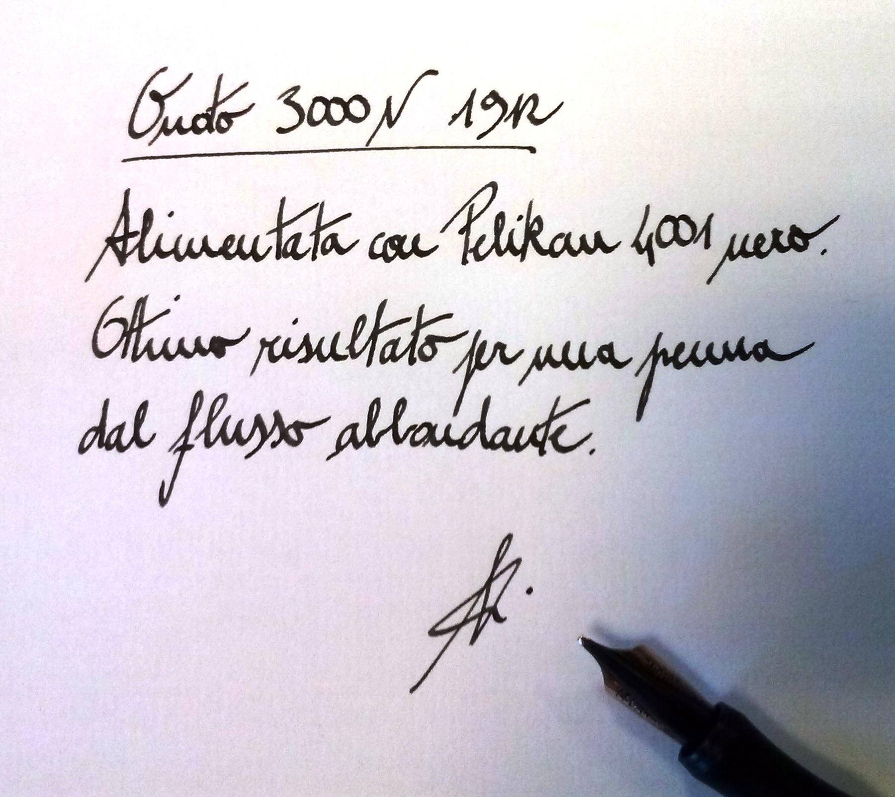 Onoto 3000 N - Pelikan 4001.jpg