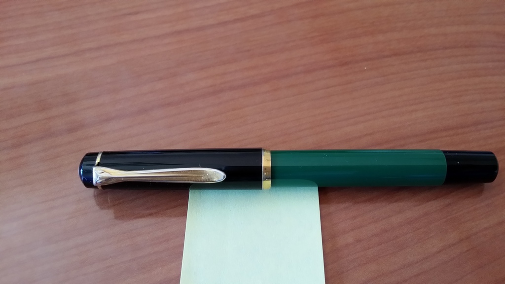 pelikan1.jpg