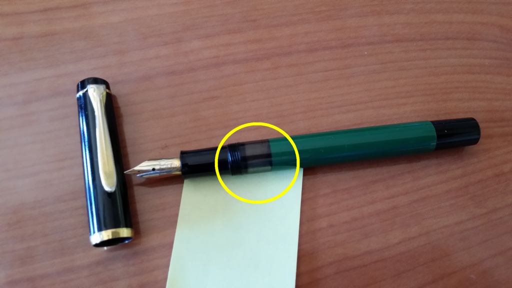 pelikan2.jpg