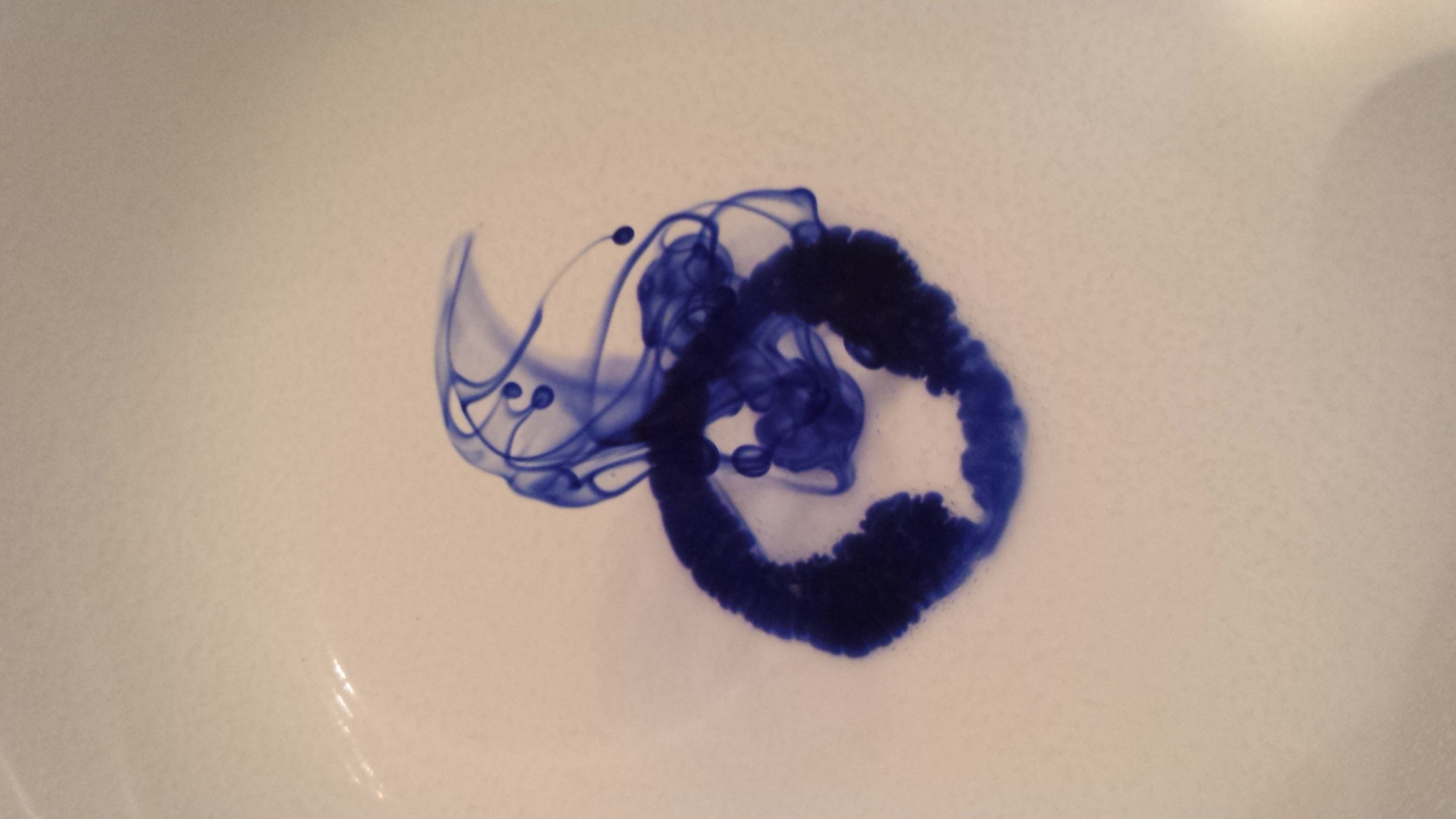 20141112_223335.jpg