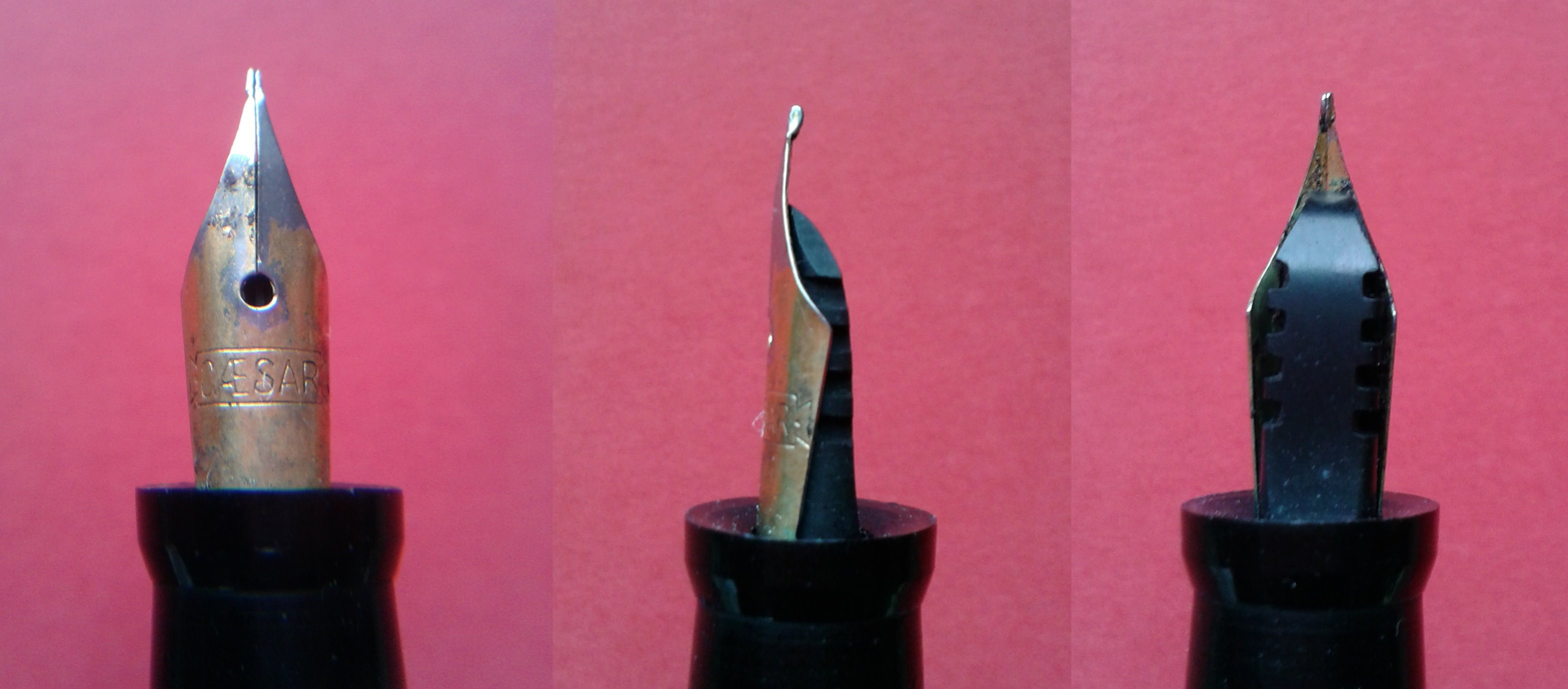 16. Caesar nib and feeder.png