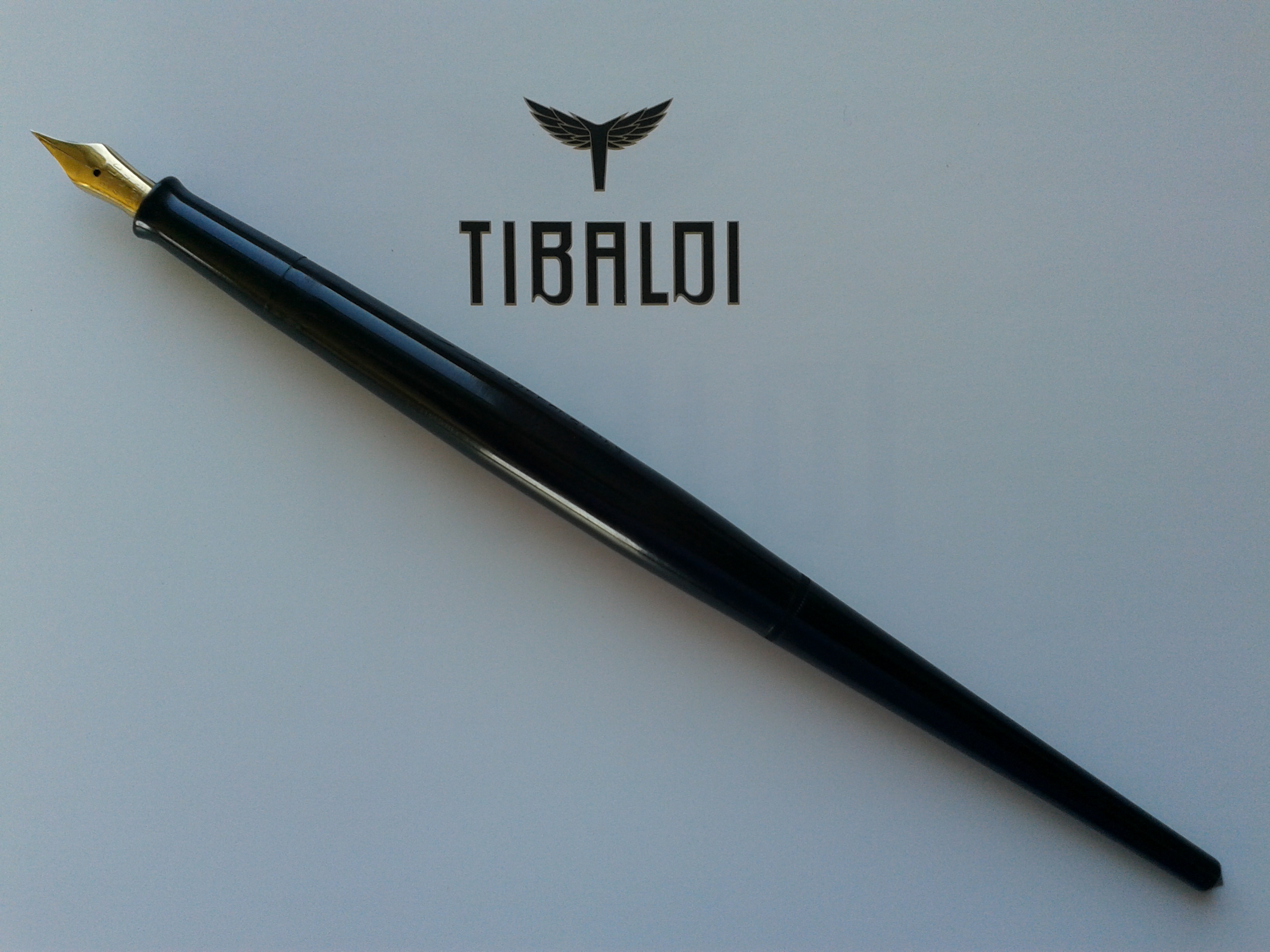 T0. The pen.jpg