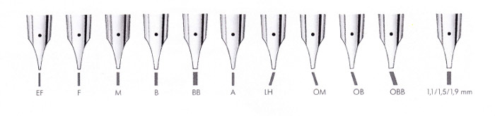 lamy_nib_all.jpg