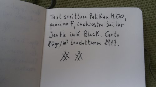 003.jpg (1.51 MiB) Visto 6263 volte Pelikan M120 3