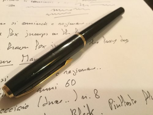 Pelikan_04.jpg