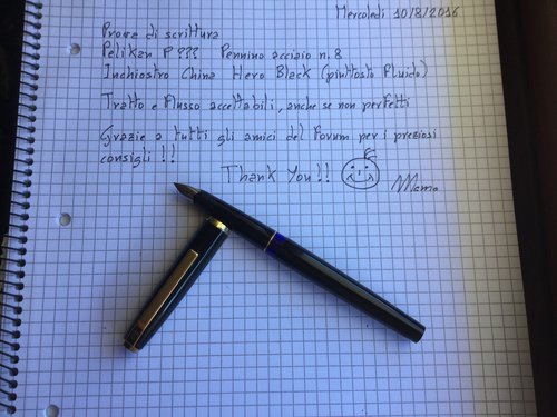 Pelikan_05.jpg