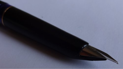 Pelikan_02.jpg