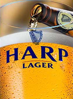 harp-lager.jpg