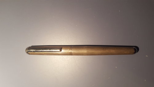 20171108_193335.jpg (3.71 MiB) Visto 2543 volte Penna ignota