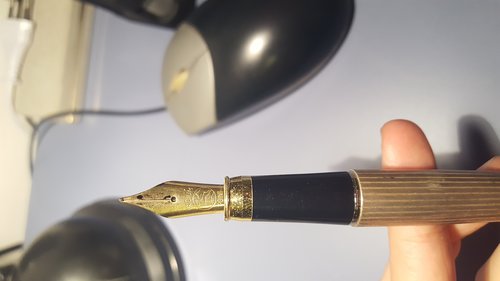 20171108_193414.jpg (2.82 MiB) Visto 2543 volte Penna ignota