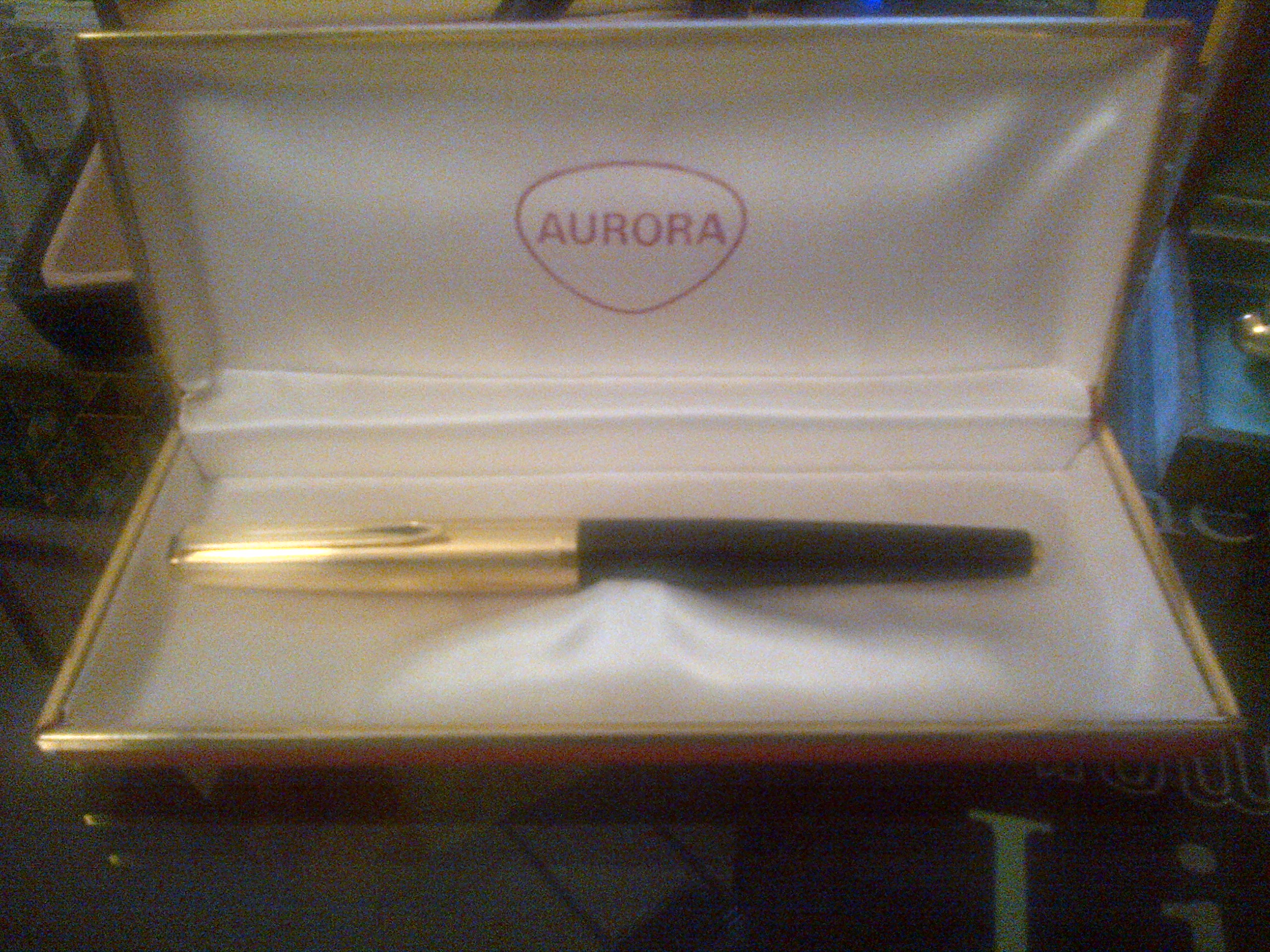 l'intrusa: Aurora 98