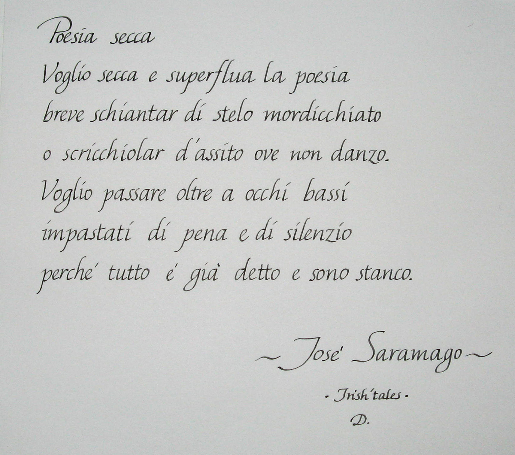 saramago-.jpg