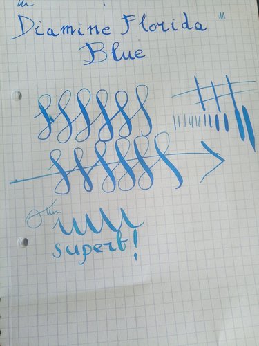 Prova di scrittura, un grande pennino senza dubbio alcuno. Tralaltro questa e' la dimostrazione che la carta Lidl resiste ad un Diamine Florida Blue con questa abbondanza di tratto :)