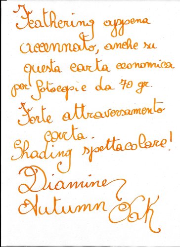Diamine Autumn Oak 1.jpg (404.86 KiB) Visto 2458 volte Prova con pennino stub 1.9 mm, su carta da fotocopie 75 gr riciclata