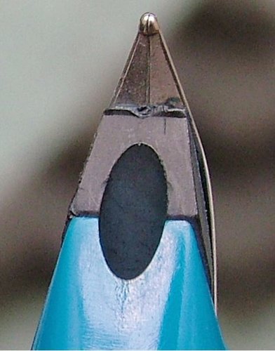 PenninoPelikan.JPG