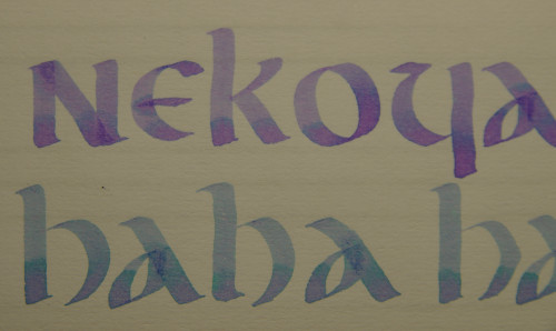 nekohaha.jpg