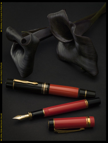 Coral pens and black callas (2) ©FP.jpg