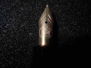 pelikan nib.jpg