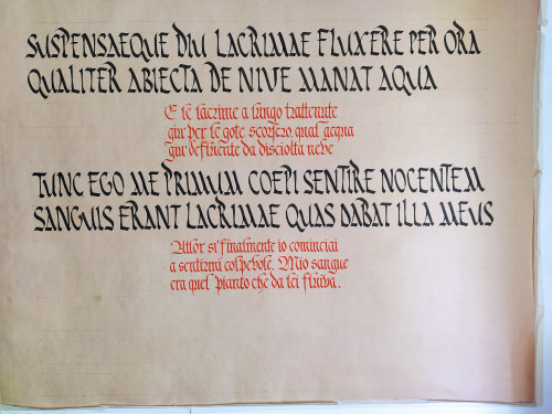 prova_ru_fr.jpg (5.61 MiB) Visto 9584 volte prova_ru_fr.jpg